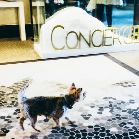 오텔 바리에르 르 루아얄 라볼르 5*