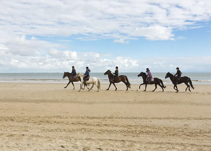 ホテル Barriere Le Royal 5*