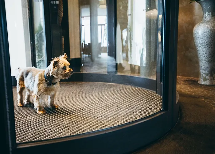 Barrière Le Royal 5* La Baule-Escoublac