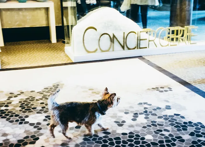 Barriere Le Royal 5*